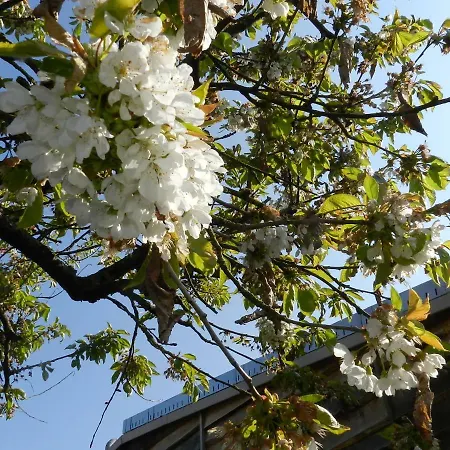 Casa de Férias Le Koto