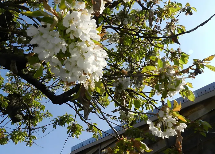 Hébergement de vacances Le Koto *